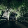 Radiance Scene (4 светодиода) – Зелёная подсветка (пара)