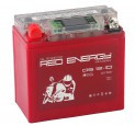 Аккумуляторная батарея RED ENERGY DS 1210