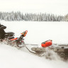 Сани  LinQ Deluxe: 860201938, 860202569, 860202441
