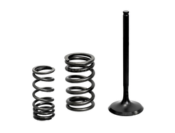 Комплект впускной клапан/пружина Honda 450 см? XU-03I-03IS