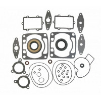 Полный комплект прокладок Arctic Cat 600LC 09-711275