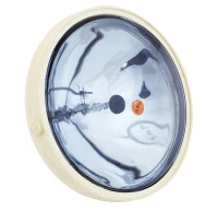 Запасная лампа для прожектора Night eye", 24 В." (10246690)