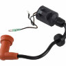 Катушка зажигания Yamaha 9.9-15, Omax