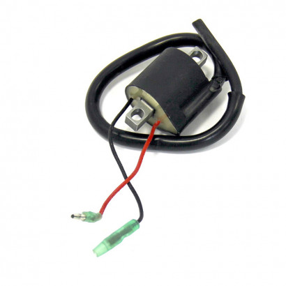 Катушка зажигания Yamaha SM-01121