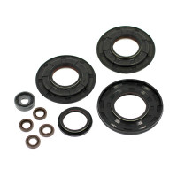 Комплект сальников двигателя 800R E-TEC BRP SM-09413 (09-55229)