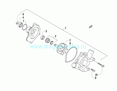 Прокладка помпы Bearcat Z1 (№6)