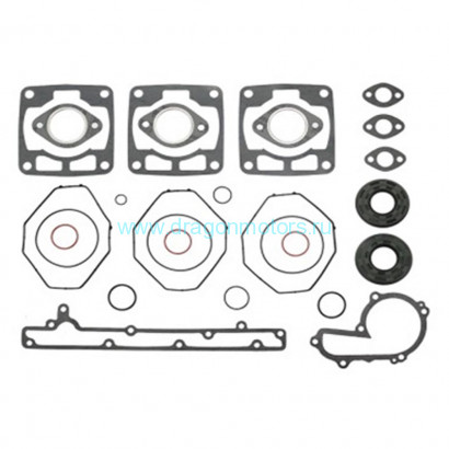 Комплект прокладок с сальниками Sledex для Polaris 600LC - 09-711206