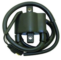 IGNITION COIL 01-143-69