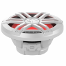 Влагозащищенный сабвуфер 10" Rockford Fosgate M1D2-10 (1 / 4 Ом)
