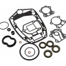 Ремкомплект редуктора Yamaha 60F/70B, Omax