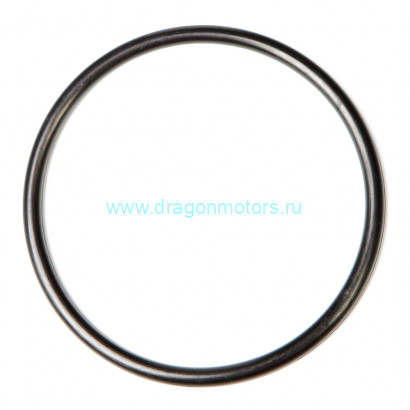 Кольцо уплотнительное обоймы гребного вала Skipper для Suzuki DT9.9-15, DF9.9-15, DF8A-20A