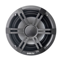 Морская акустика RGB - DBS6528T