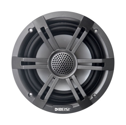 Морская акустика RGB - DBS6528T