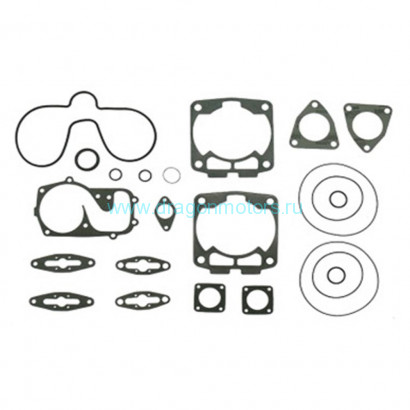 Комплект прокладок с сальниками Sledex для Polaris - 09-711250