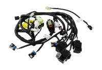 Проводка в сборе (F60-01.07.14.21)