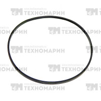 Уплотнительное кольцо головки цилиндров РМЗ 551 (внешнее)