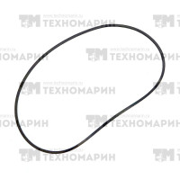 Уплотнительное кольцо крышки головки цилиндров РМЗ 551 (внешнее)