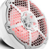 Морская акустика RGB 8" NXL-8M/WH, DS18