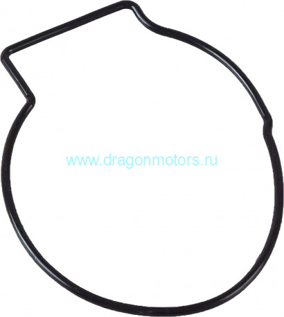 Сальник корпуса водяного насоса No.1 Suzuki 17416-92J00-000