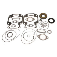 Комплект прокладок с сальниками Sledex для Arctic Cat 700LC - 09-711267