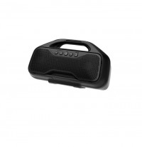 BRP Audio-Portable System 295101147 (US) / 295101184 (EU)