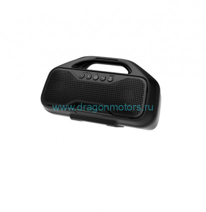 BRP Audio-Portable System 295101147 (US) / 295101184 (EU)