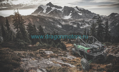 Кофр для KAWASAKI KRX