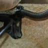 RAM-B-316-1-AP8L RAM Latch-N-Lock  для iPad 1-4 с автомобильным креплением RAM Pod  I