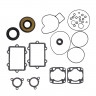 Комплект прокладок с сальниками Sledex для Arctic Cat 500LC - 09-711290