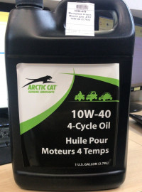 Масло Arctic Cat 10W40 0636-879