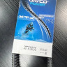Ремень вариатора DAYCO XTX5036 ДЛЯ ARCTIC CAT Z1, BEARCAT, SNO PRO, JAGUAR Z1, TZ1 OEM: 0627-047, 0627-073