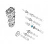 Шестерня КПП снегохода BRP 156060-24
