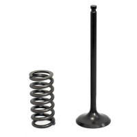 Комплект впускной клапан (центр) пружина Gas Gas/Yamaha 250/300 см? XU-19I-19IS