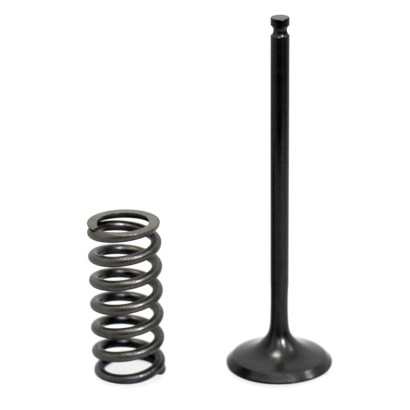 Комплект впускной клапан (центр) пружина Gas Gas/Yamaha 250/300 см? XU-19I-19IS