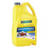 Масло для 2T снегоходов RAVENOL Snowmobiles Mineral 2-Takt