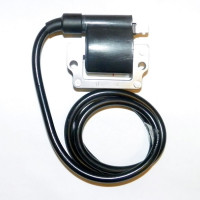 004-172 Катушка зажигания BRP 951