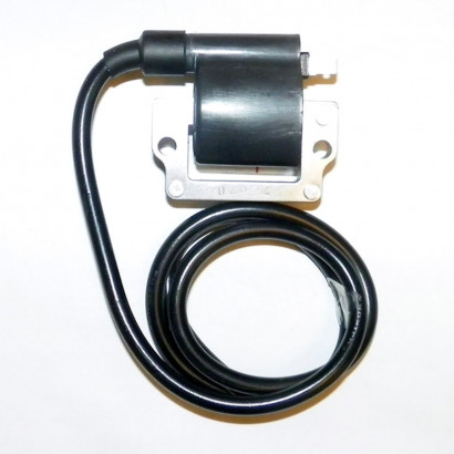 004-172 Катушка зажигания BRP 951