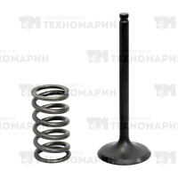 Комплект выпускной клапан/пружина  Gas Gas/Yamaha 450 см? XU-21E-21S
