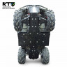 Защита KTZ для Odes Pathcross 650/800/1000 L (двухместный)