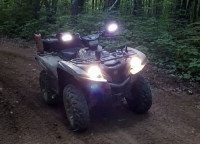 Ходовые огни в защиту рук Star Series Handguards