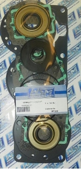 007-641 Полный к-т прокладок Kawasaki 1100