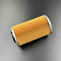 Фильтр масляный (элемент) BRP/SKI-DOO (420956740; 711956740; AT-07061) (ZIBO)