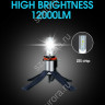 Aurora ALO-G10-H15Z3 44W 10-24V