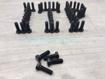 Чёрный болт крепления кольца Beadlock