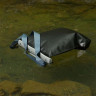 Водонепроницаемая сумка Aquapac 748 - Black Seti Case