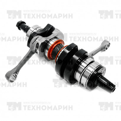 Коленчатый вал BRP SM-09378