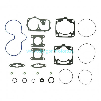 Комплект прокладок с сальниками Sledex для Polaris (заменен на SM-09531F) - SM-09527F