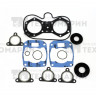 Полный комплект прокладок Polaris 550F 09-711286