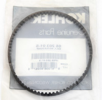 Ремень помпы для 4/6EFKD (66 203 01-S) (10249611)