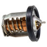 Термостат Comp, вода 60 градусов (Thermostat Comp, Water 60 Deg) - 17670-94J00-000, 17670-94J01-000